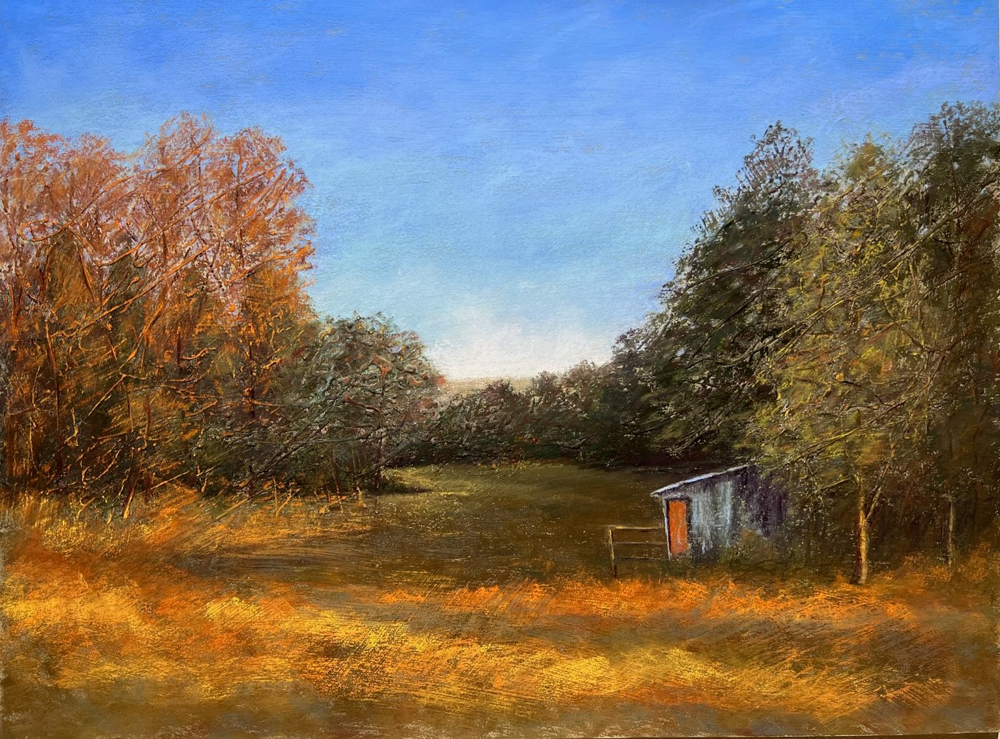 Kids Backyard