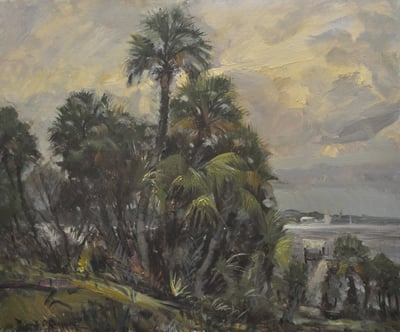 Along St. Lucy River 2