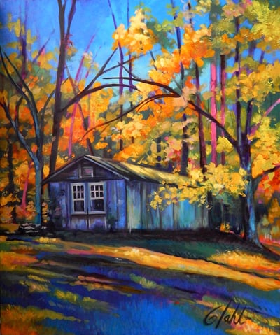 Shed in the Shadows