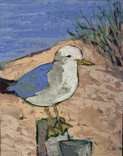 Gull