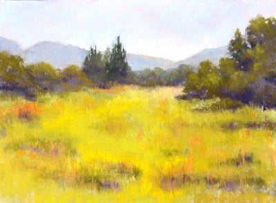 Santa Barbara Meadow