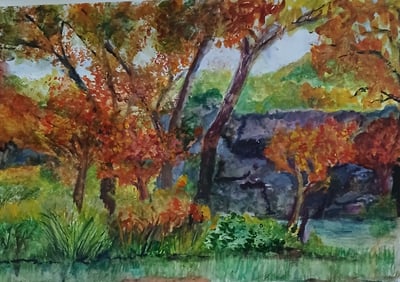Burst of Orange