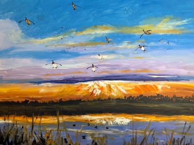 Rice Field Mallards