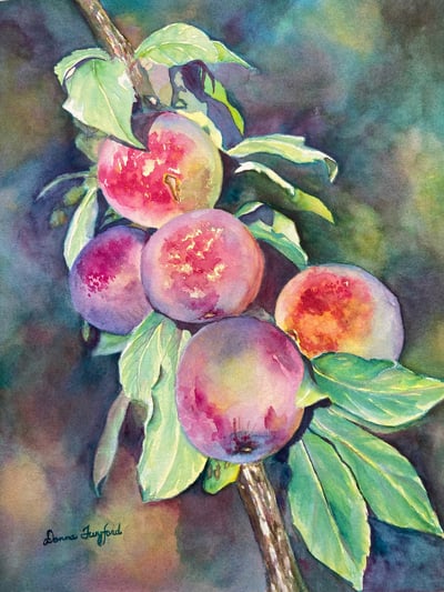 Plum Crazy