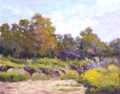 Carpenteria Oceanside