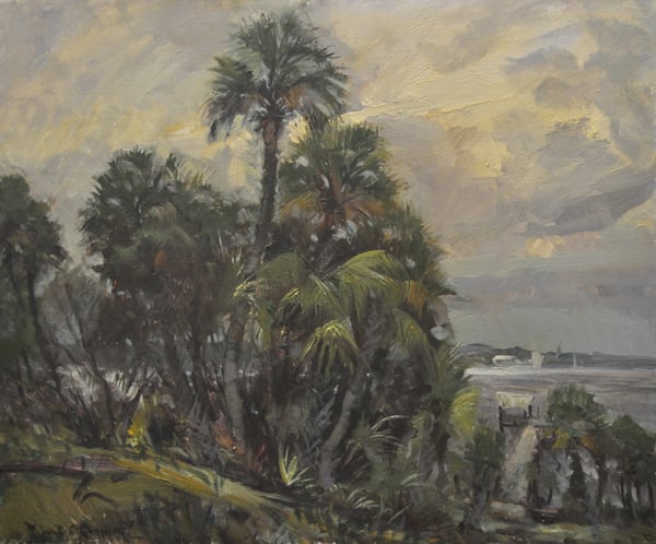 Along St. Lucy River 2