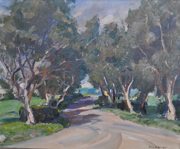 Melaleuca On the Drive to Outrigger