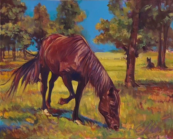 Grazing in the sun