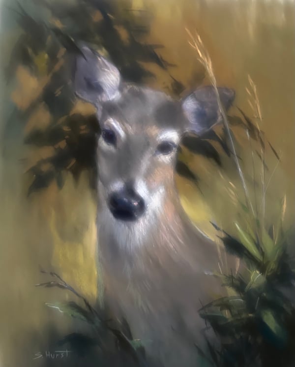 Ever Watchful