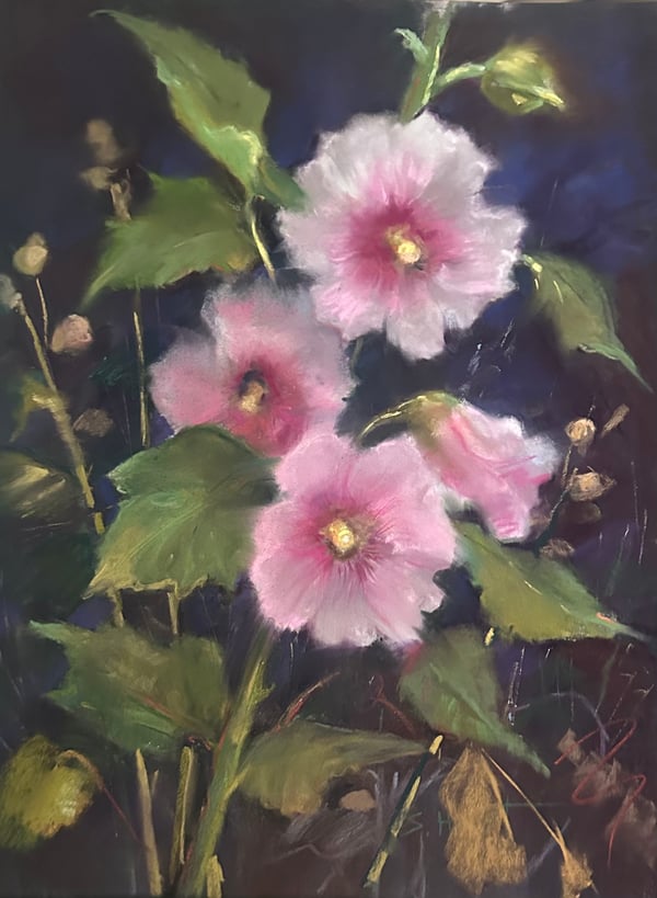 Pink Hollyhocks