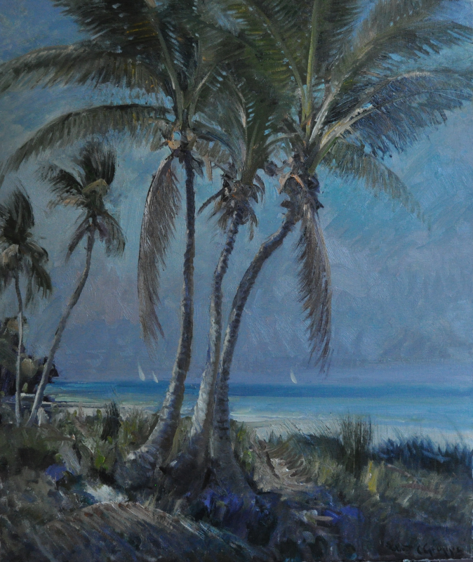 Coconut Palms