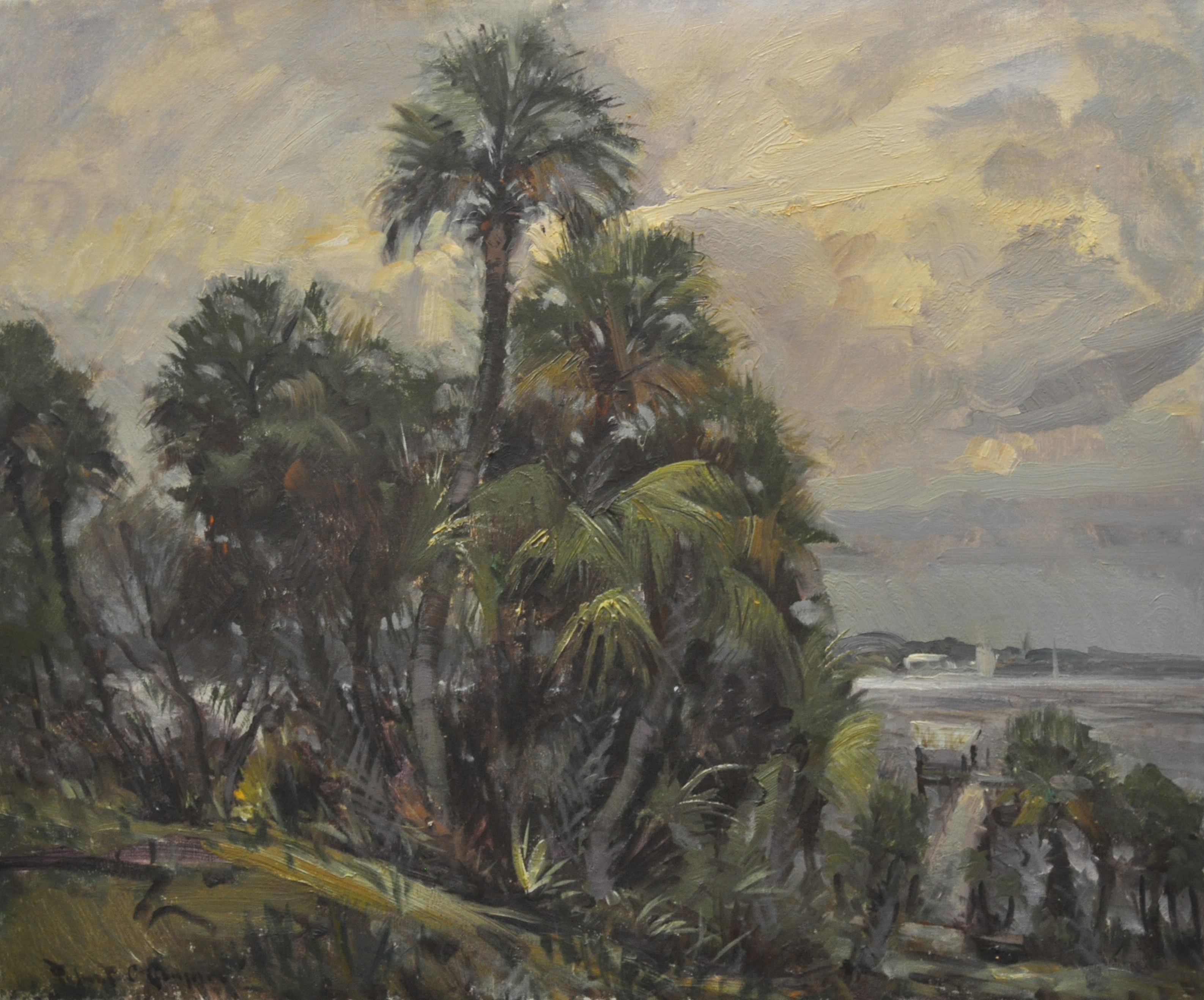 Along St. Lucy River 2