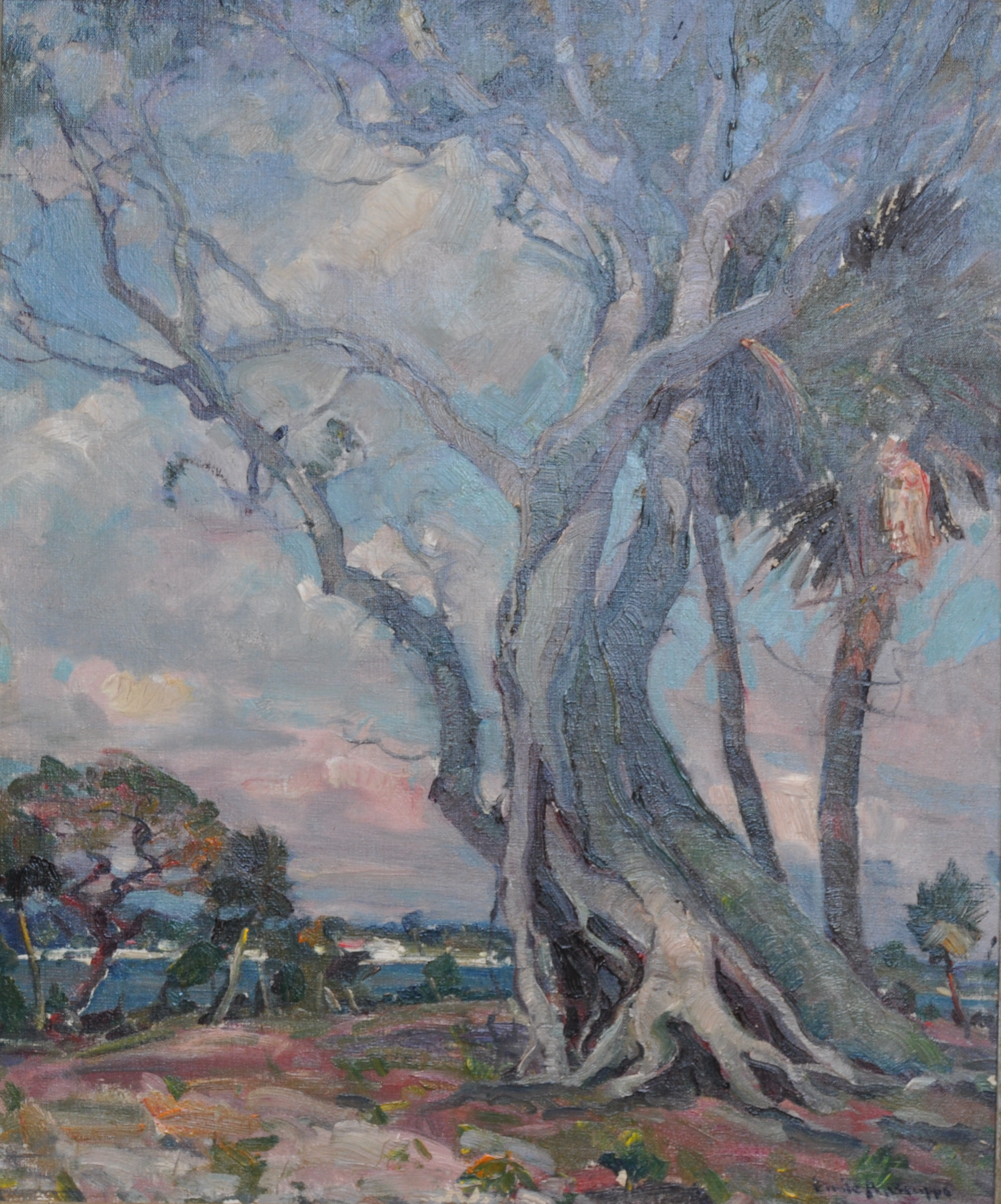 Old Banyan Tree