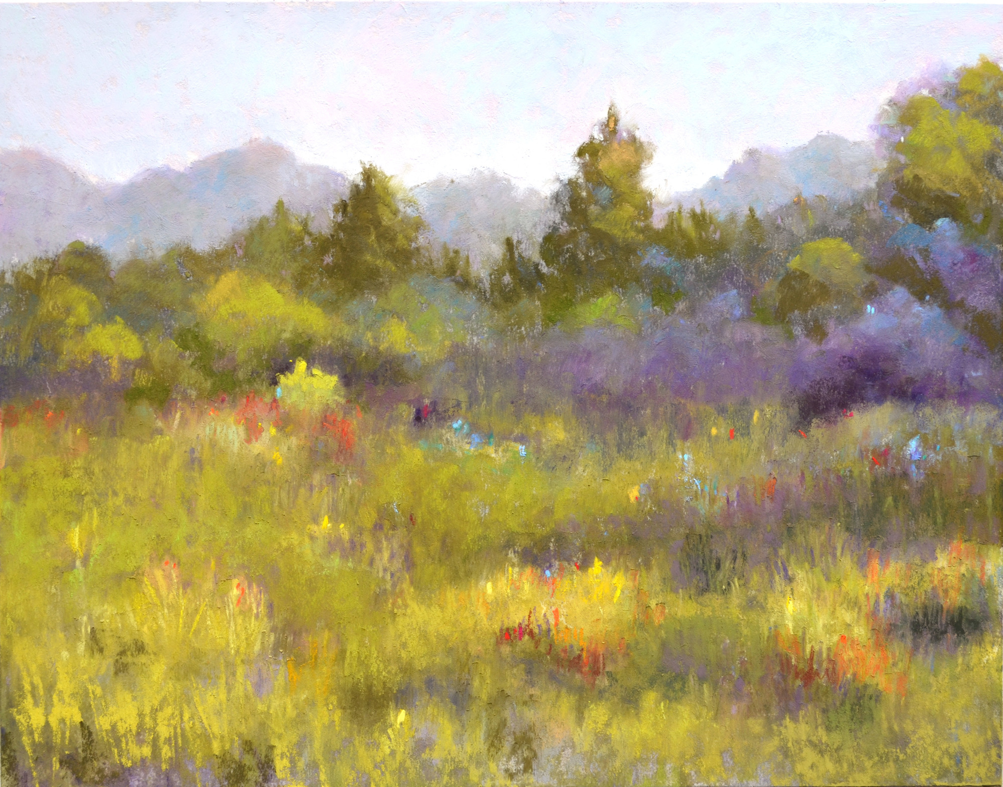 Shadows on the Meadow