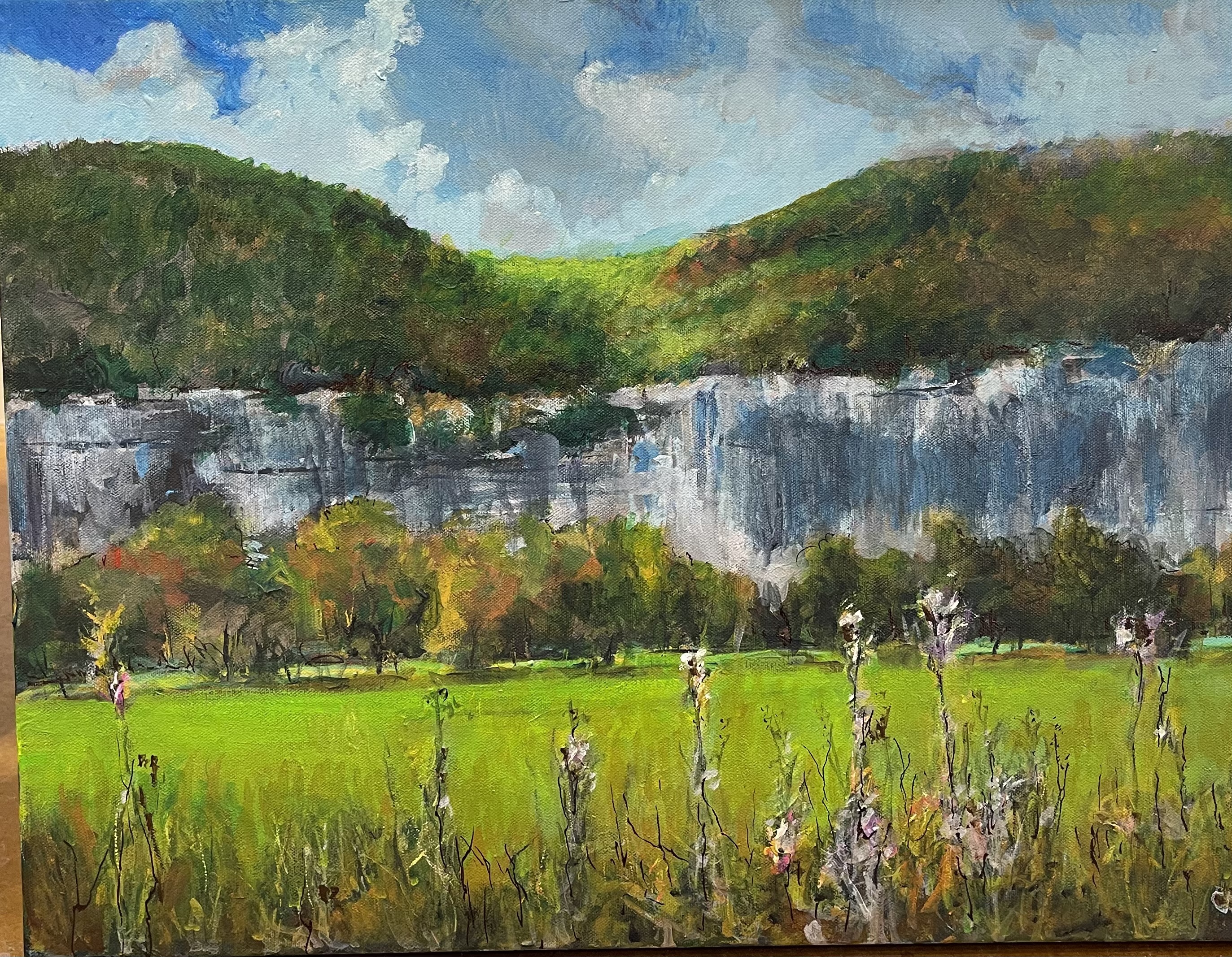 Fall On The Buffalo