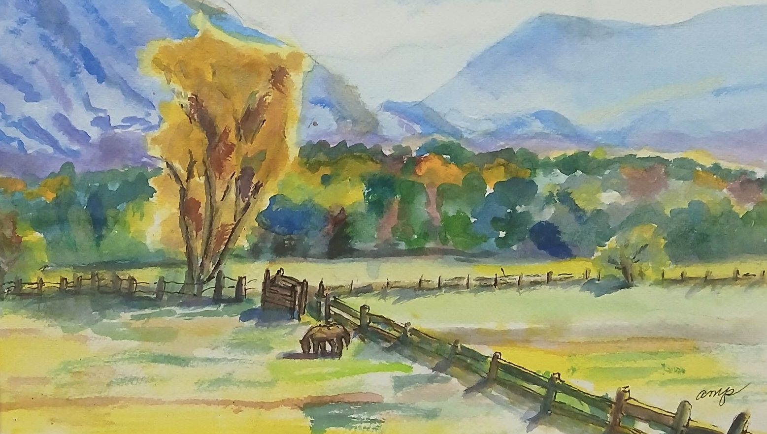 Colorado Pasture