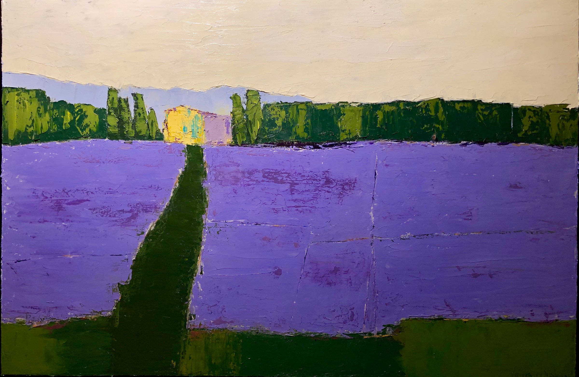 Lavender Fields