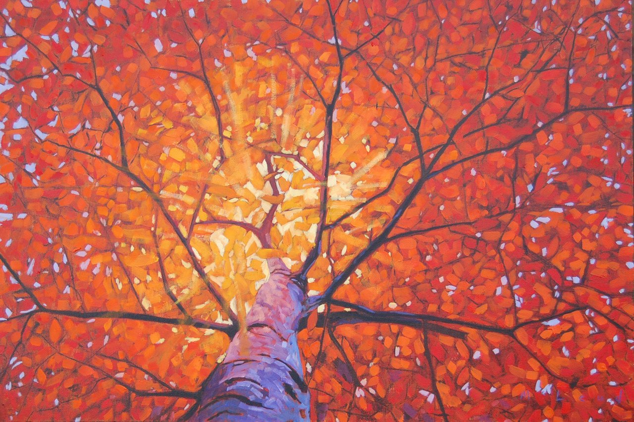 Orange Canopy