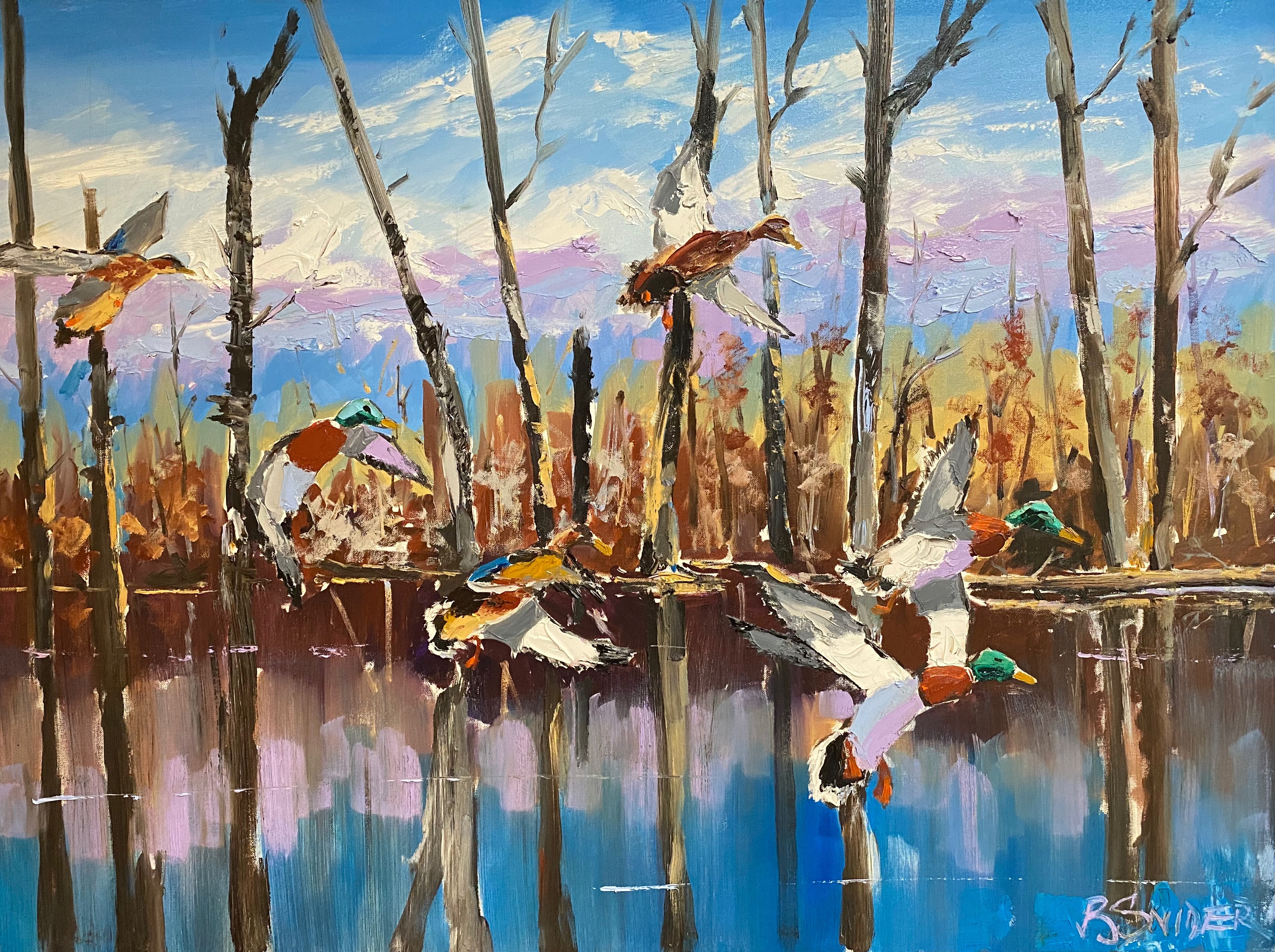 Sunrise Mallards