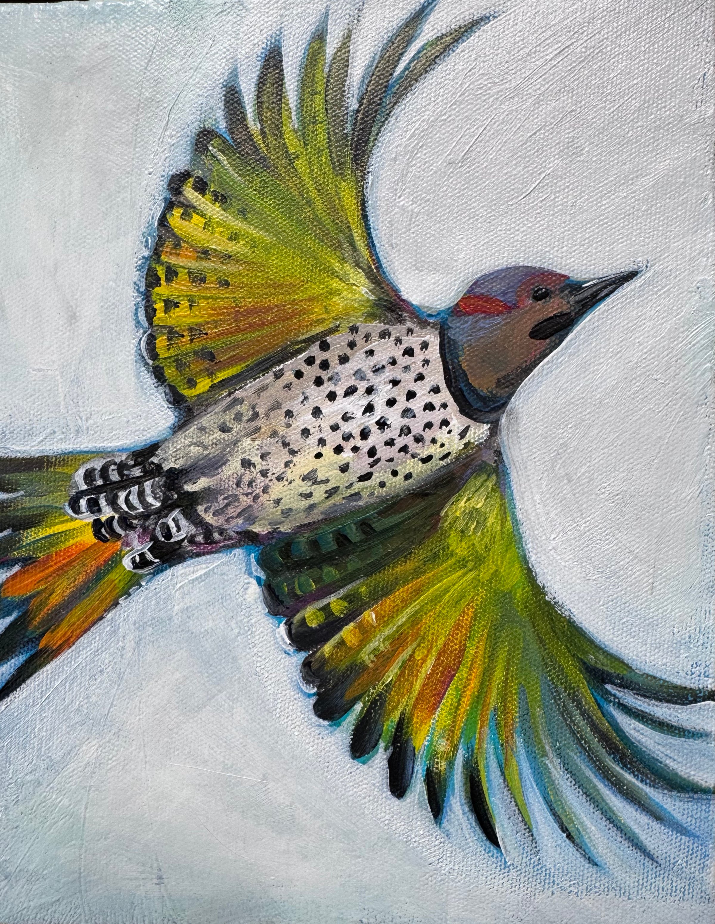 Northern Flicker
