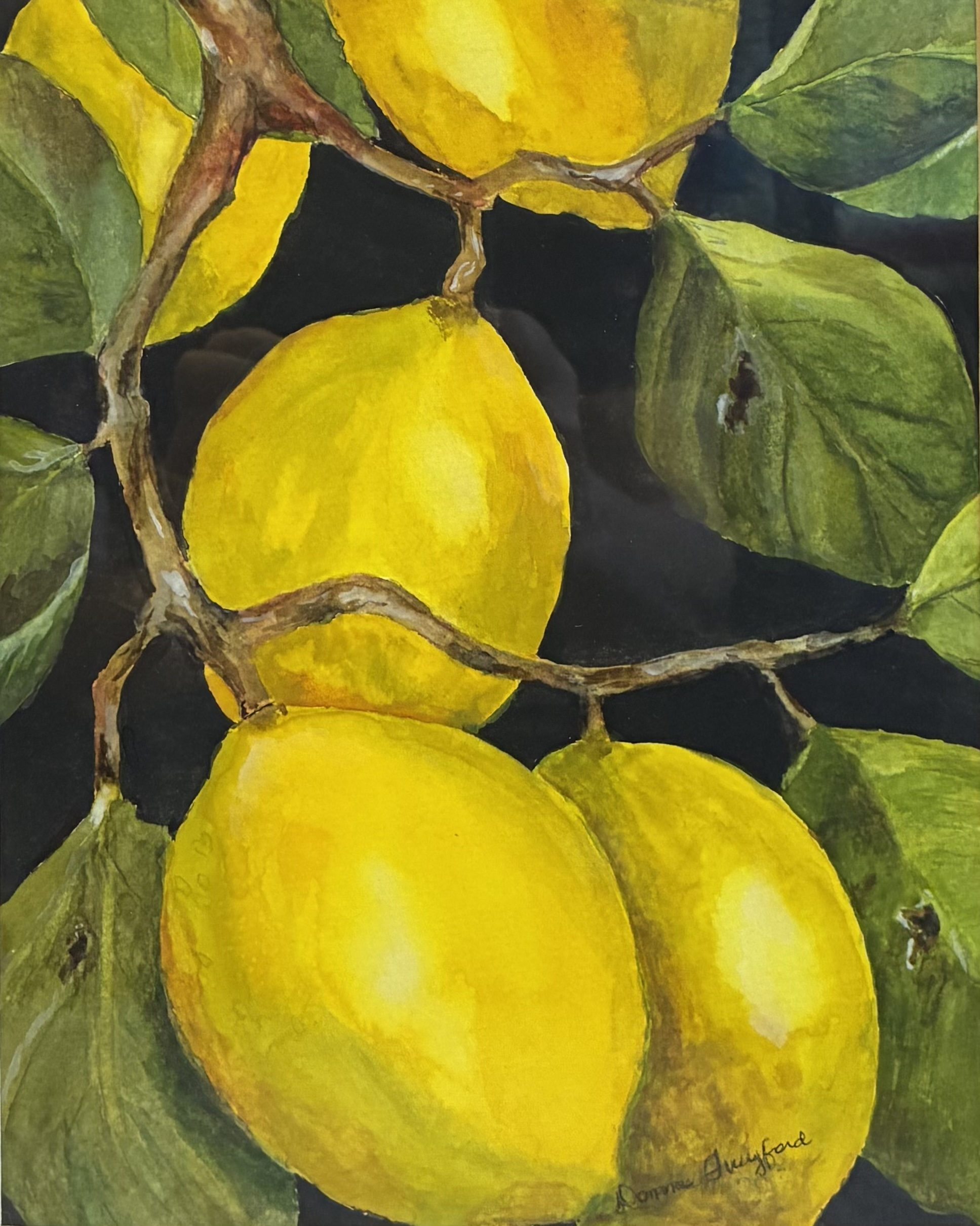 Citrons