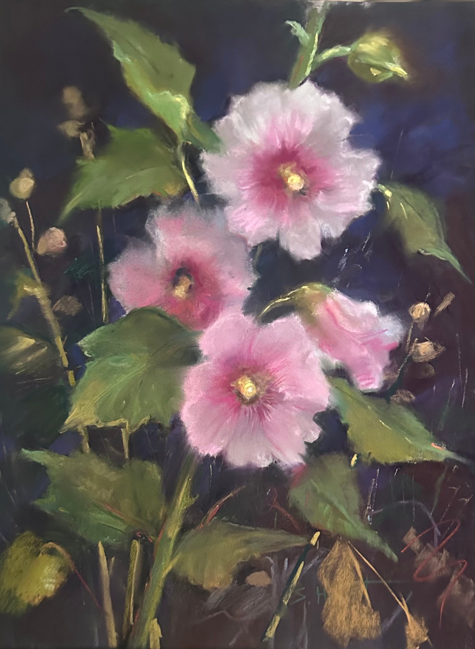Pink Hollyhocks