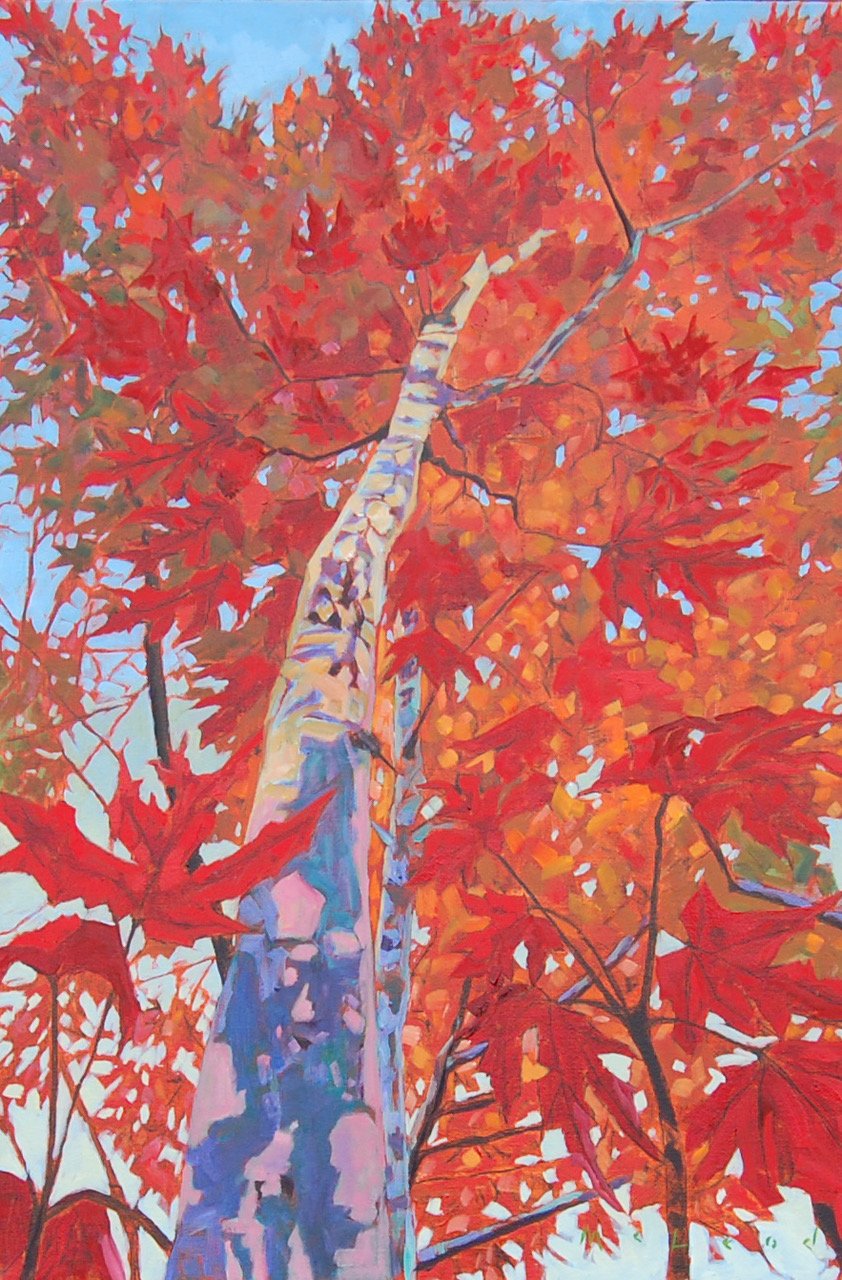 Under the Maple