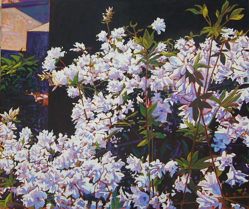 White Azalea